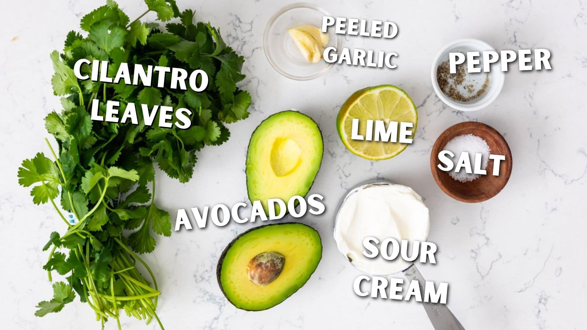 Overhead shot of all ingredients needed to make Avocado Cilantro Crema