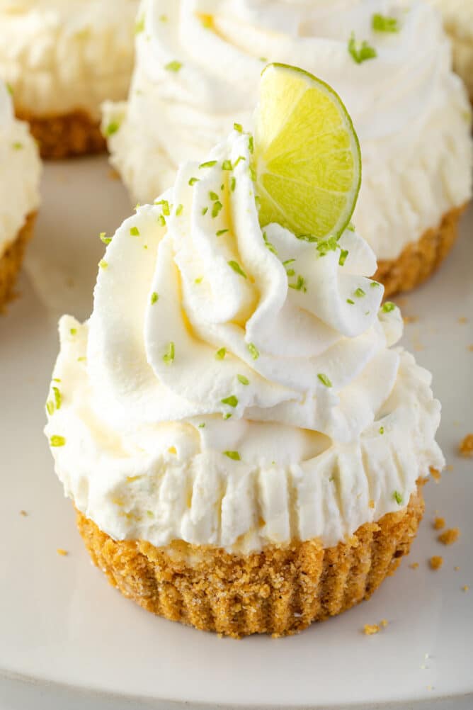 One mini no bake key lime cheesecake with more in the background