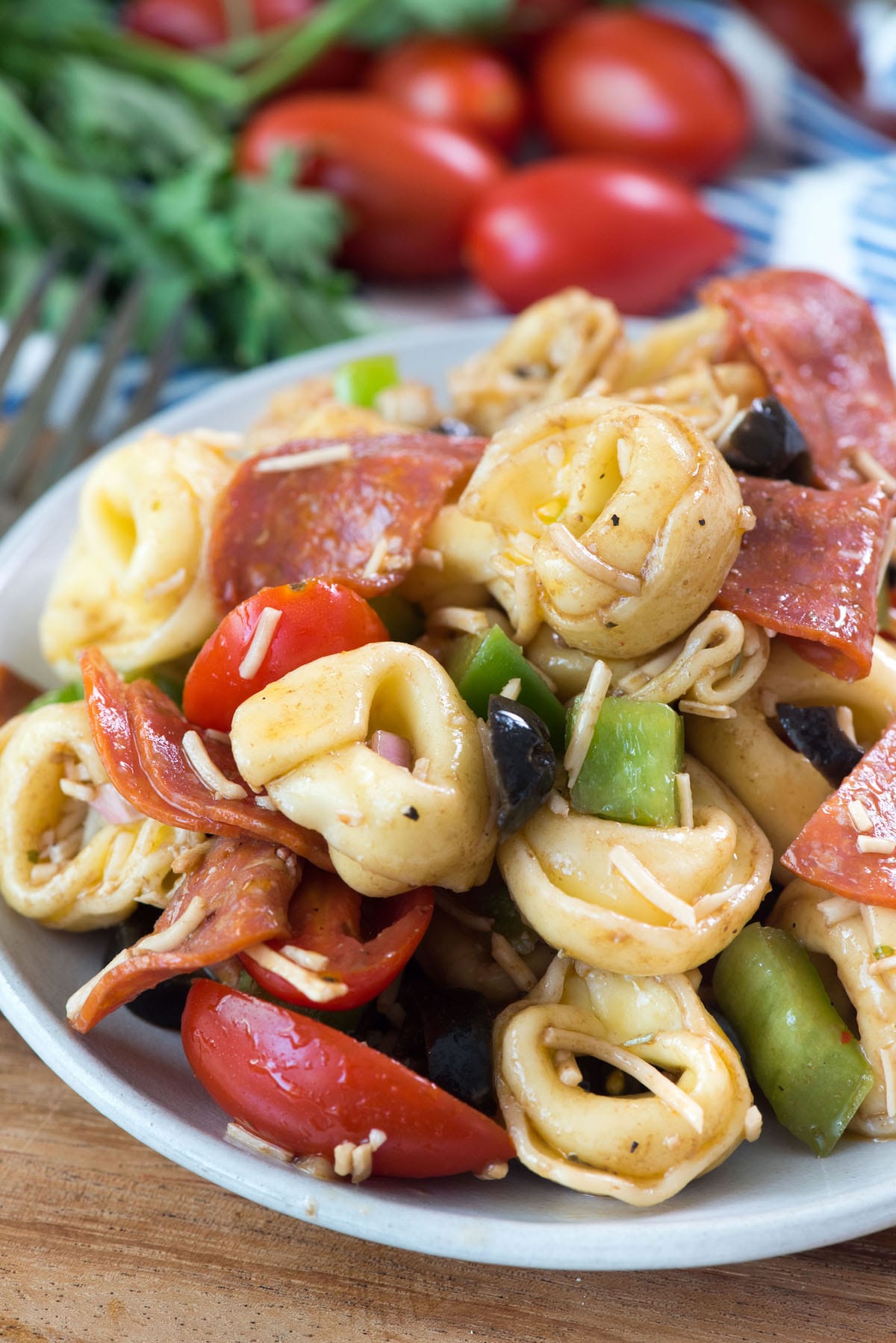 tortellini and tomatoes and pepperoni and peppers mixed on a white plate