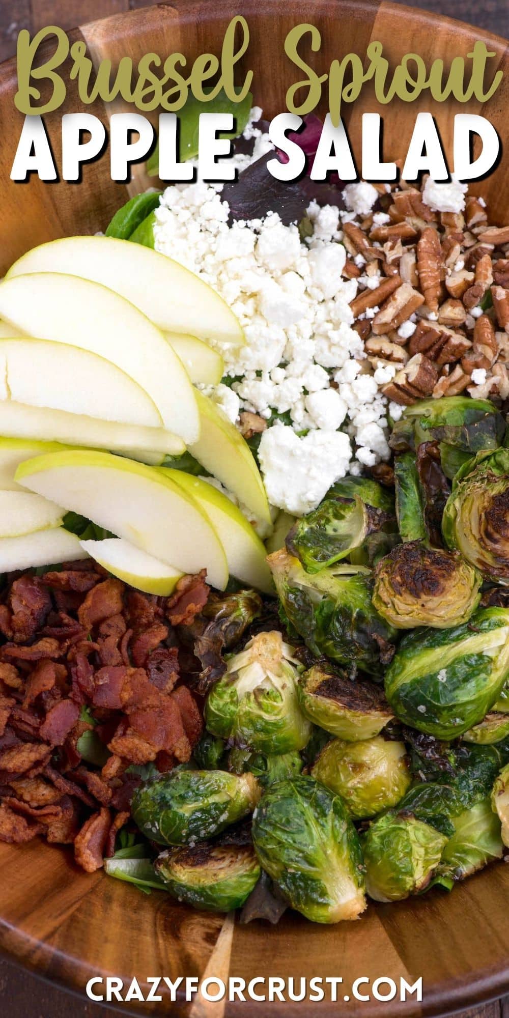 brussel sprout salad with all the ingredients including apples, Brussel sprouts, cheese, and bacon separated in a wooden bowl with words on the photo
