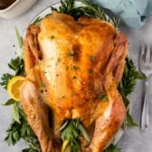 stuffed baked turkey surrounded by herbs on a white plate