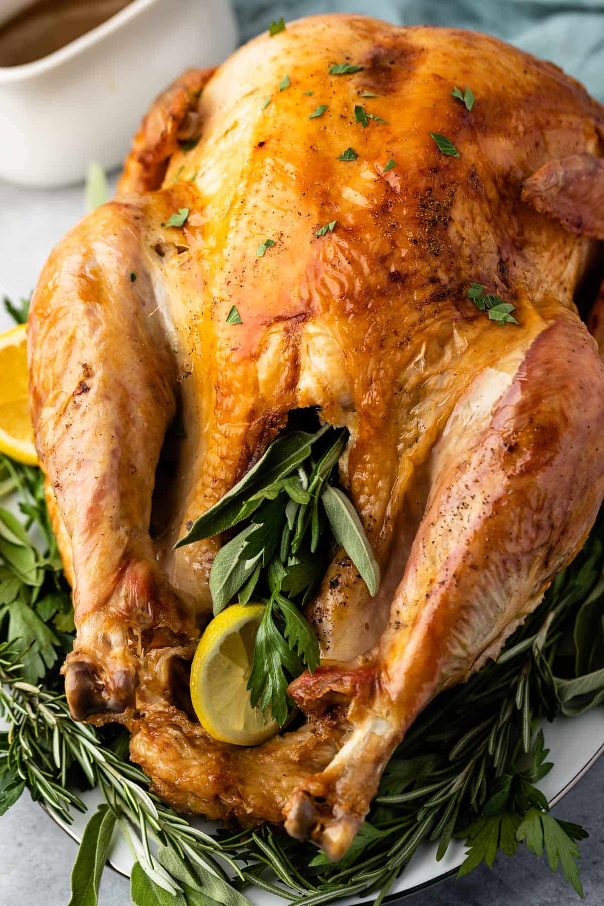 stuffed baked turkey surrounded by herbs on a white plate