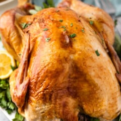 stuffed baked turkey surrounded by herbs on a white plate