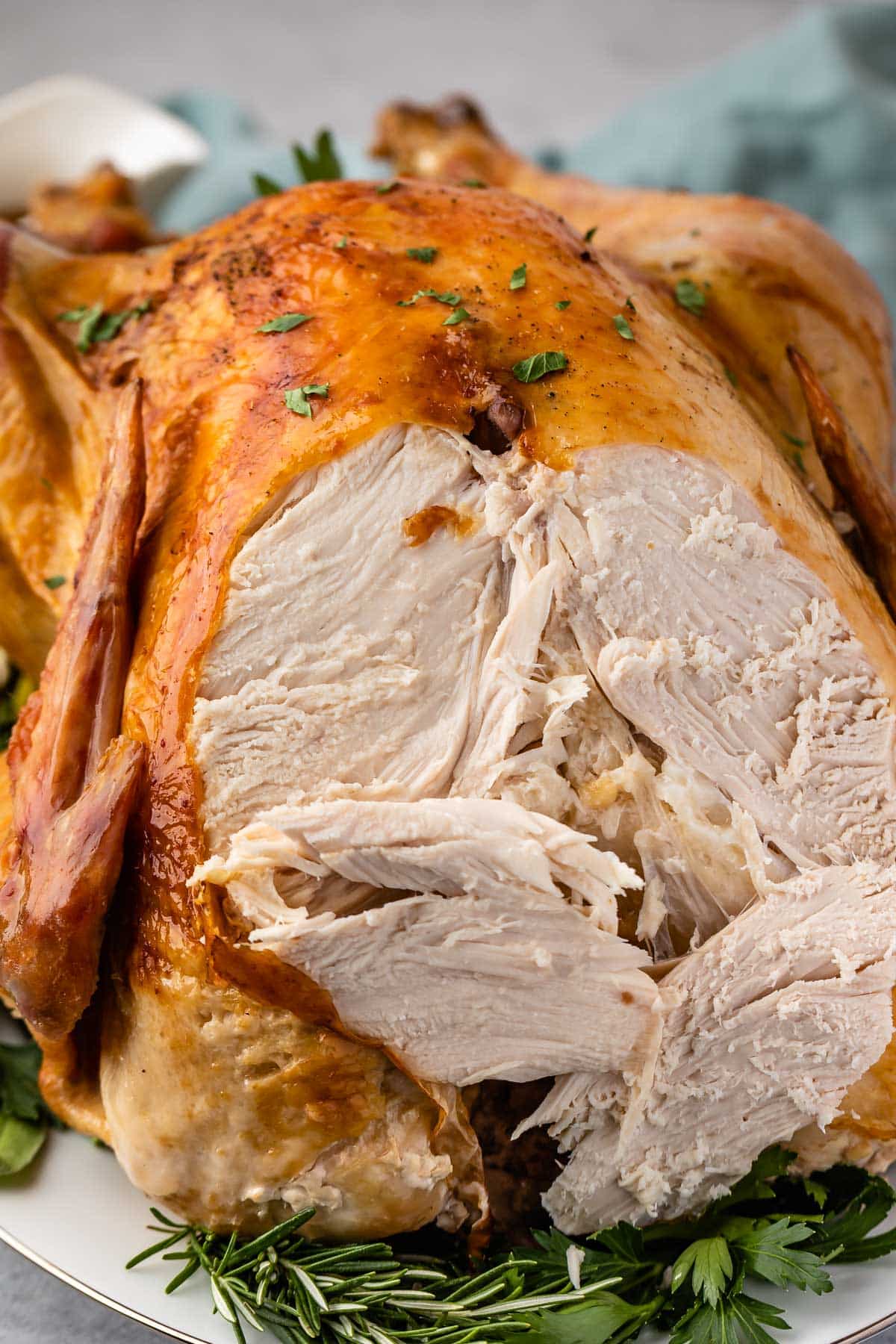 sliced turkey surrounded by herbs on a white plate