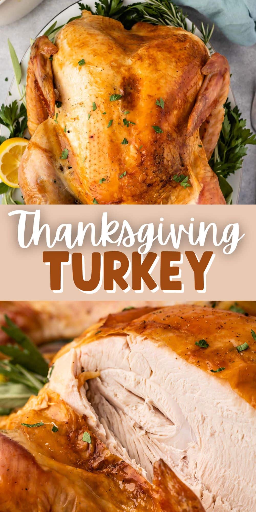 Thanksgiving computer activties for kids