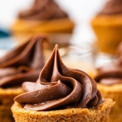 turtle cup with chocolate frosting on top with words on the photo