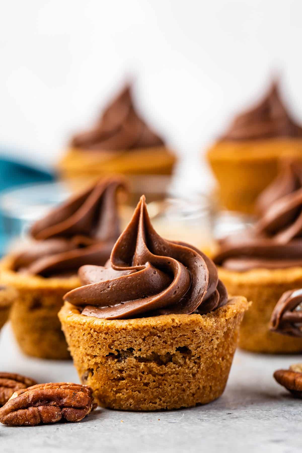 turtle cup with chocolate frosting on top