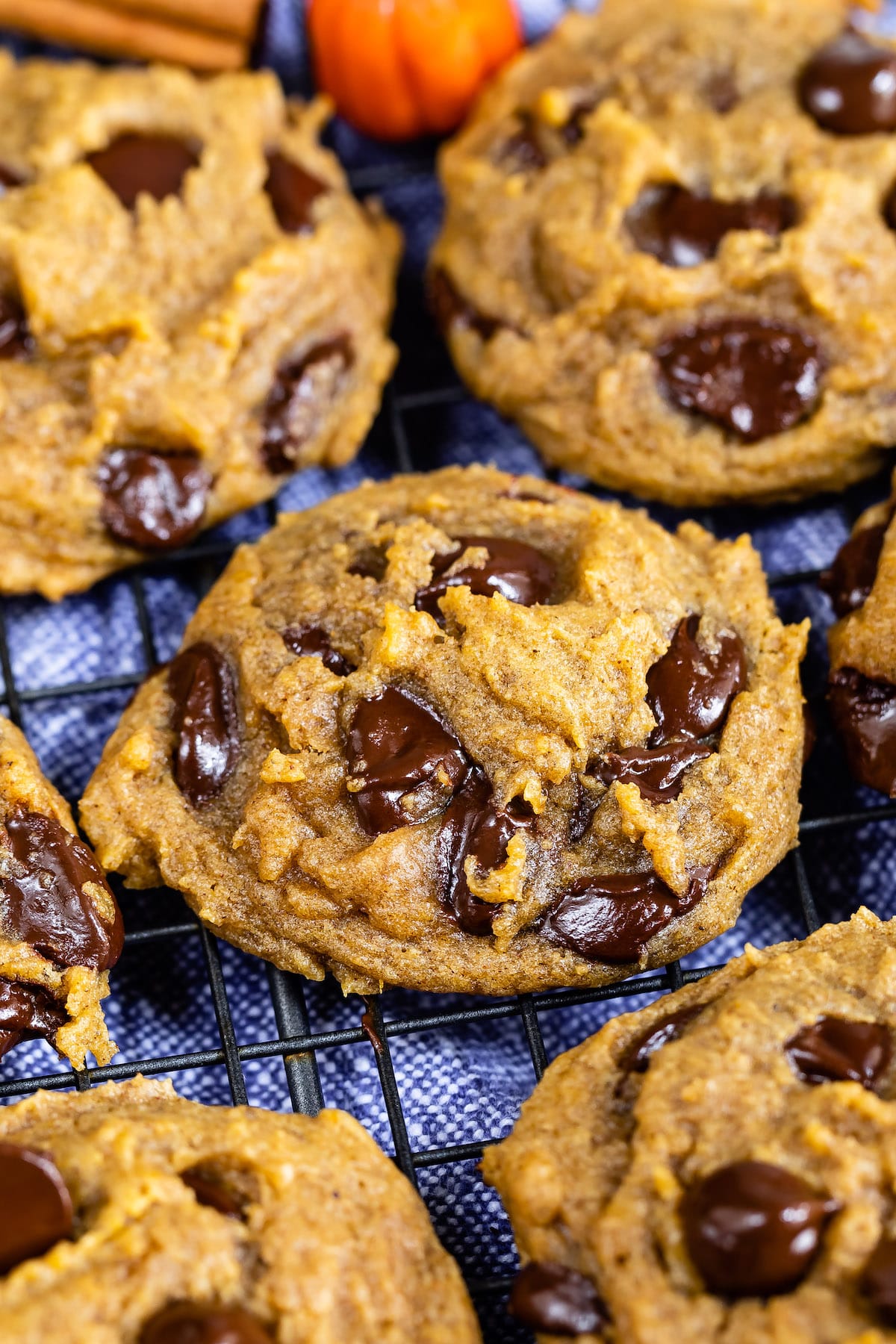 pumpkin cookies with chocolate chips baked in
