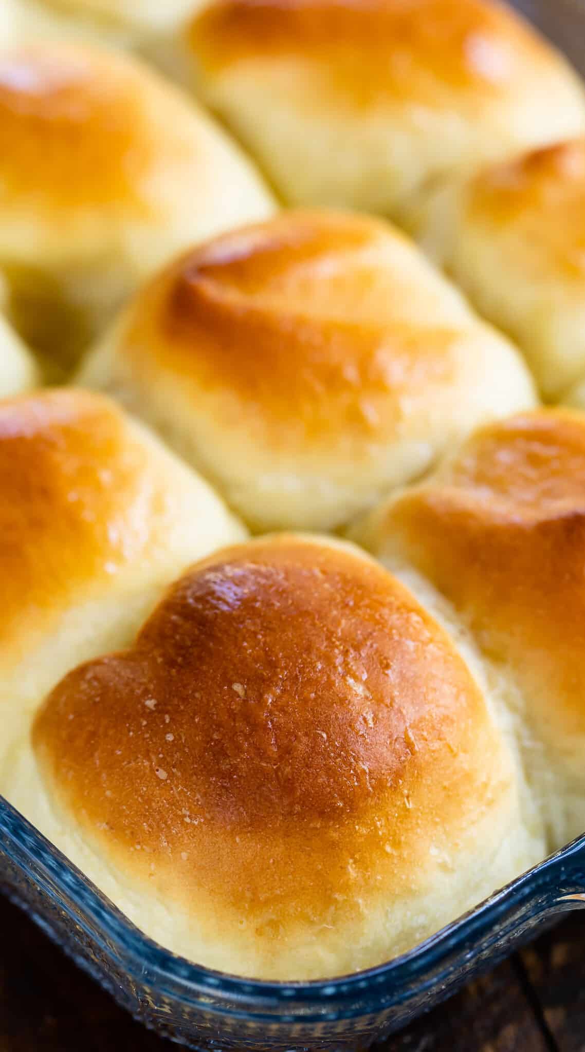 Easy Potato Rolls Recipe