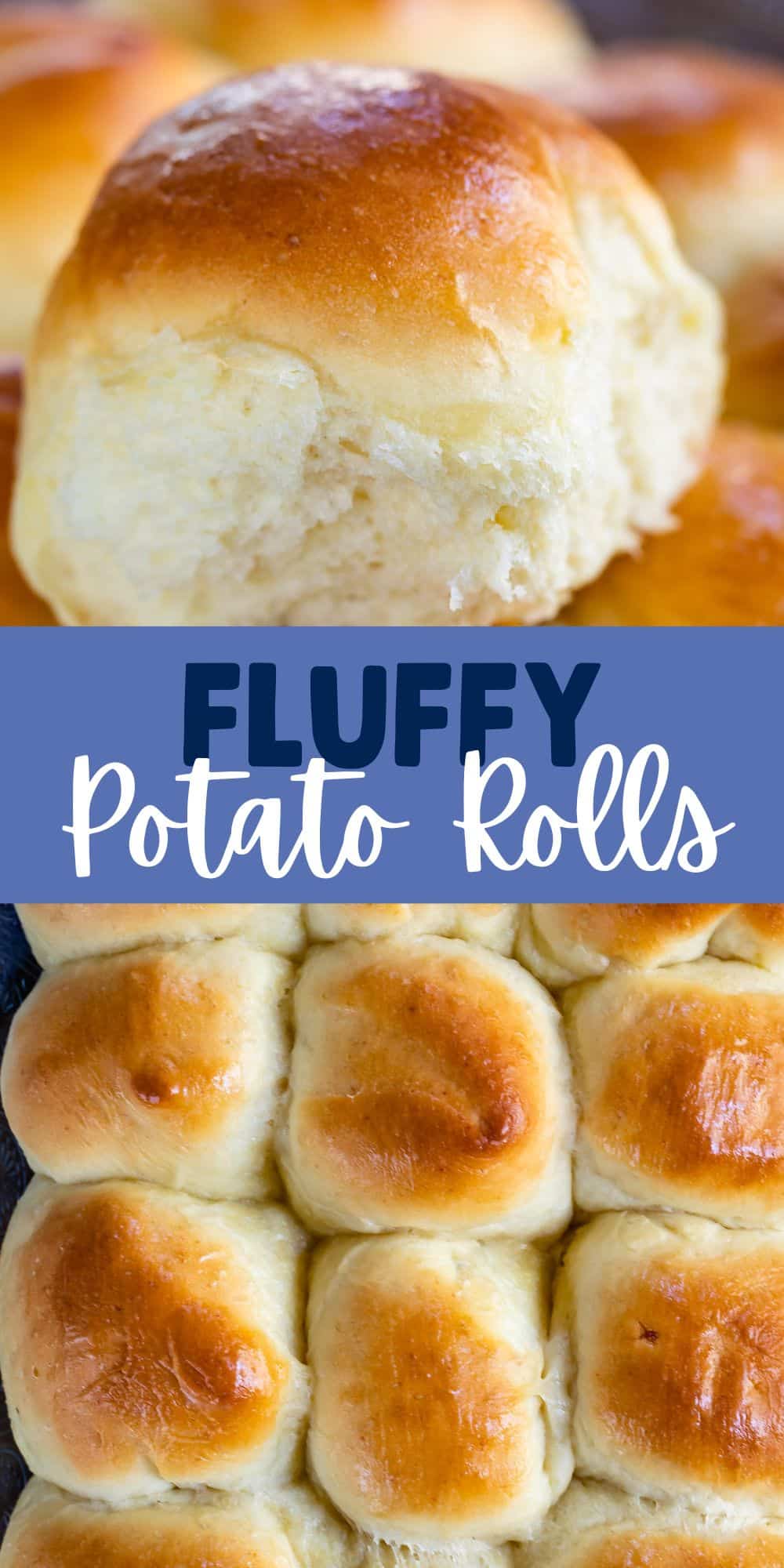 Easy Potato Rolls Recipe: How to Make It