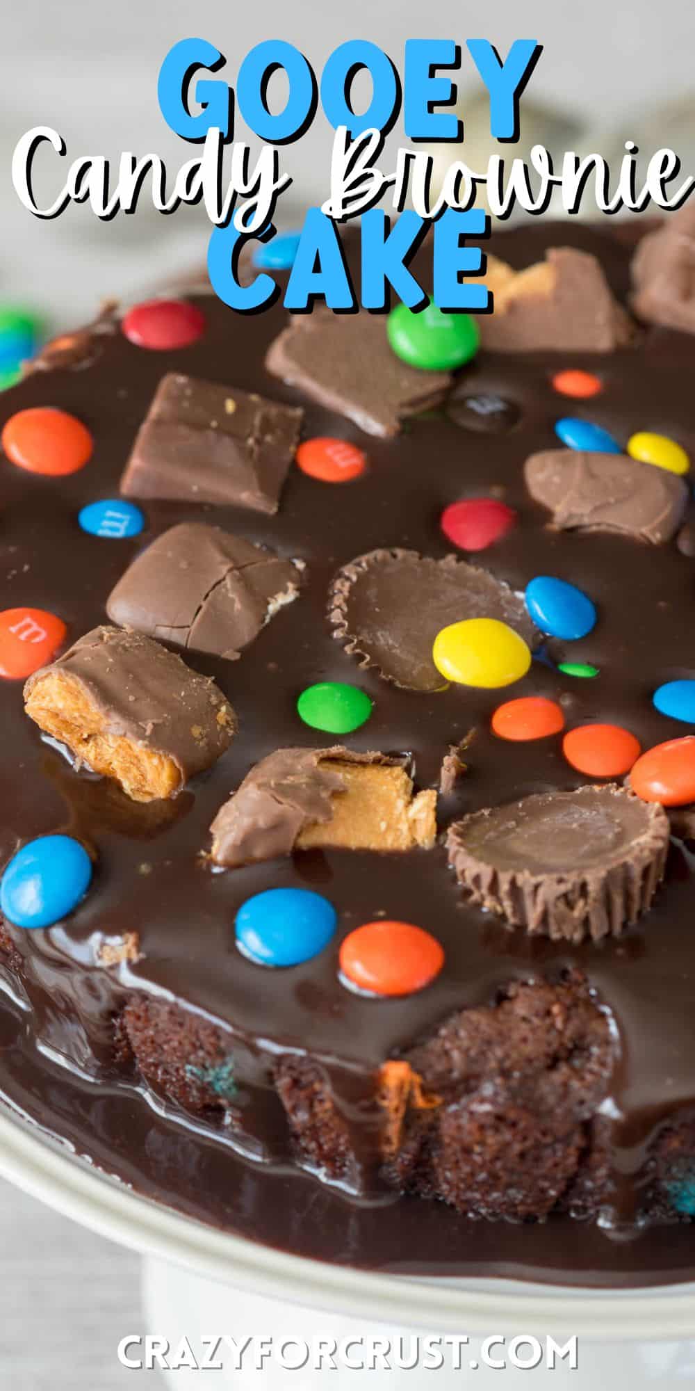 cake with m&ms and peanut butter cups baked in on top sitting on a white platter with words on top