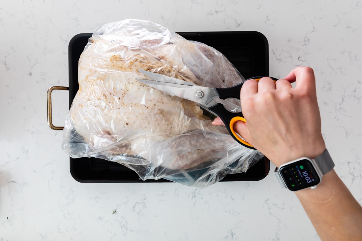 turkey in oven bag tied in pan with hands cutting scissors.