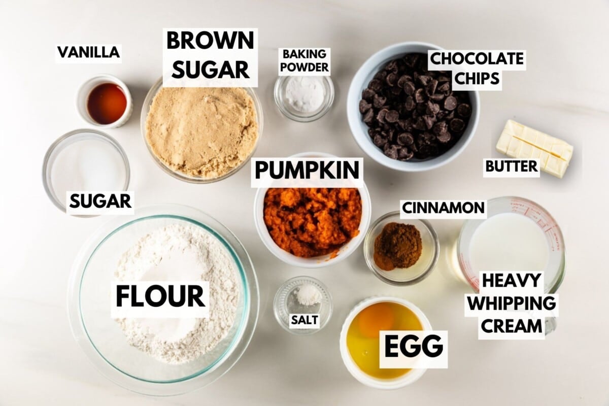 Overhead view of labeled baking ingredients for pumpkin scones in bowls: flour, brown sugar, pumpkin, sugar, egg, butter, chocolate chips, vanilla, baking powder, cinnamon, salt, and heavy whipping cream on a white surface.