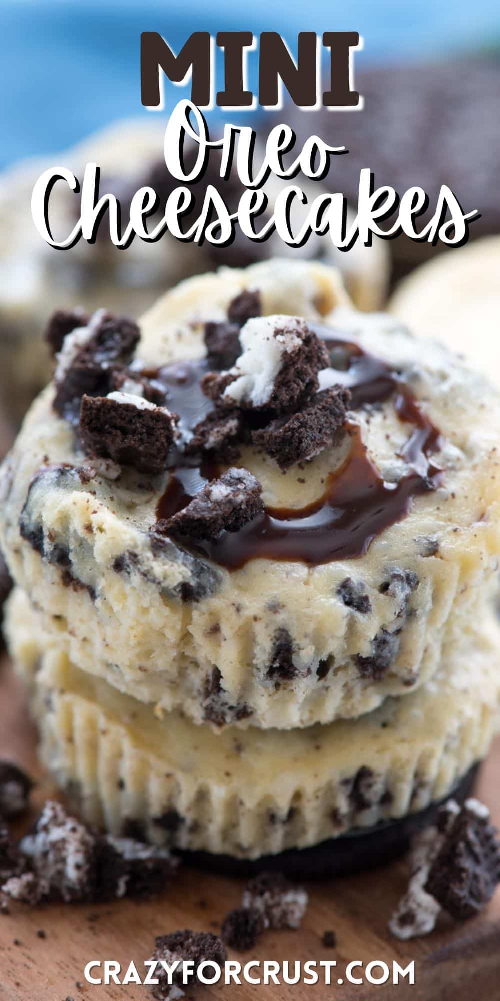 mini cheesecake with oreo chunks and chocolate drizzle on top