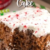 cake with white frosting and crushed peppermint on top on a white plate with words on the image