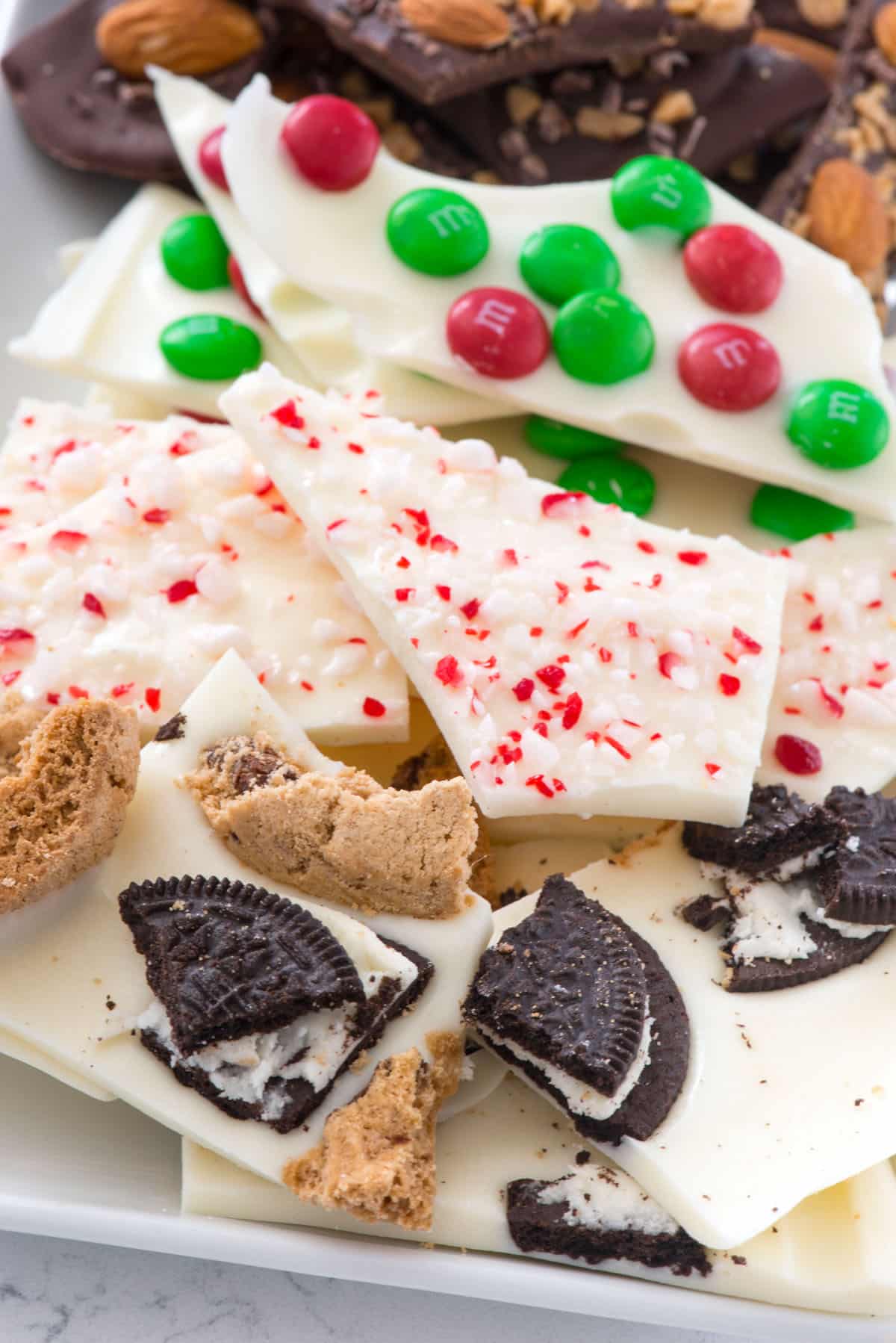 bark with different things mixed in with it