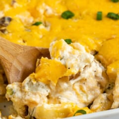 casserole layered with cheese in a white pan next to a wooden spoon