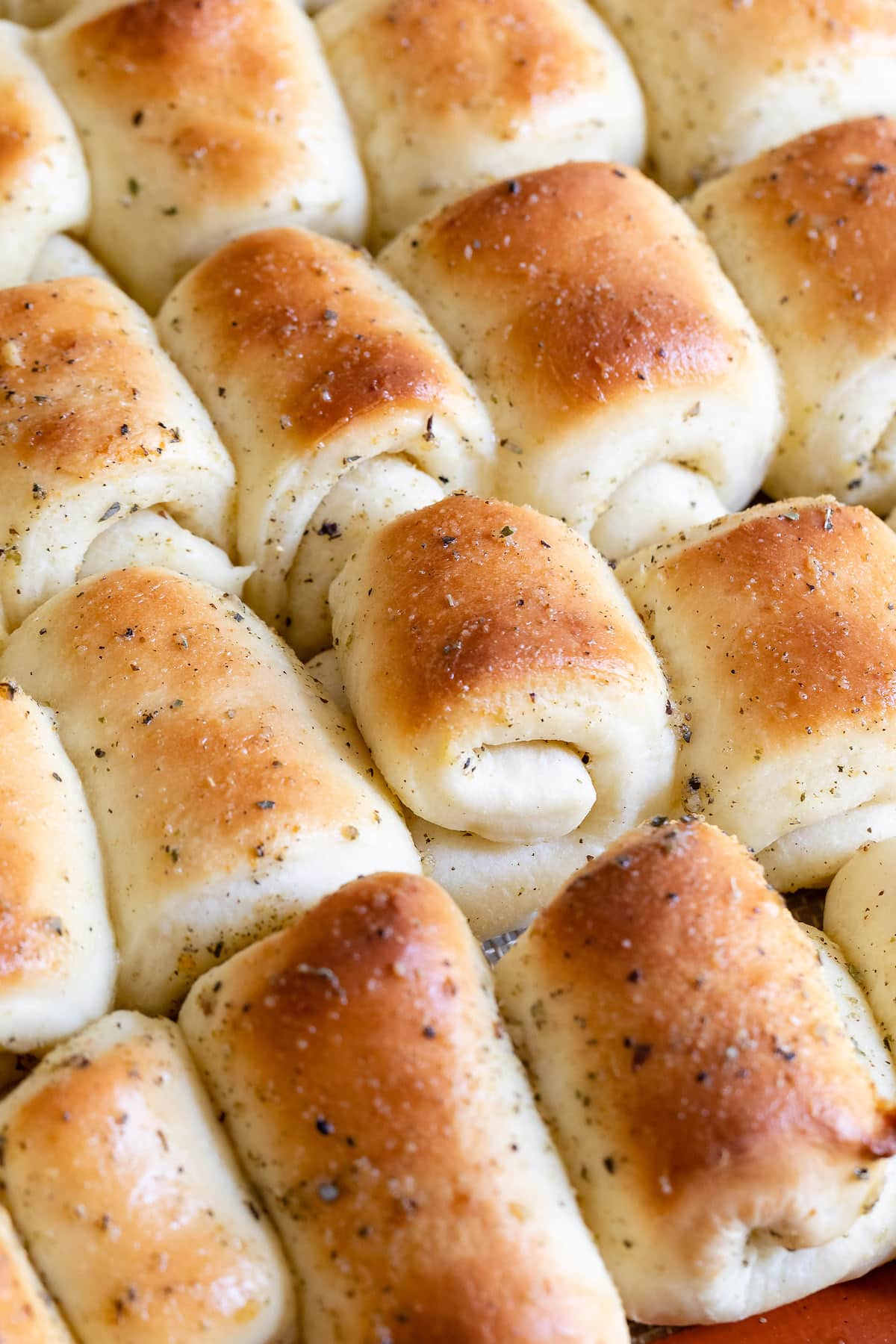 dinner rolls on cookie sheet close together