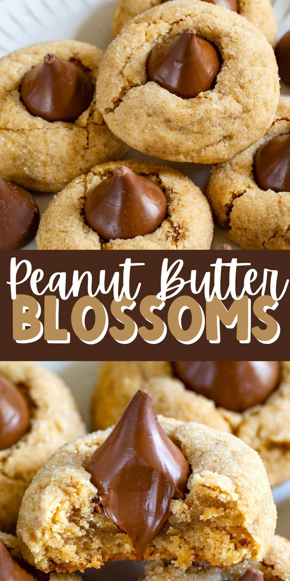 Cash Saver - Recipe: Peanut Blossom Cookies