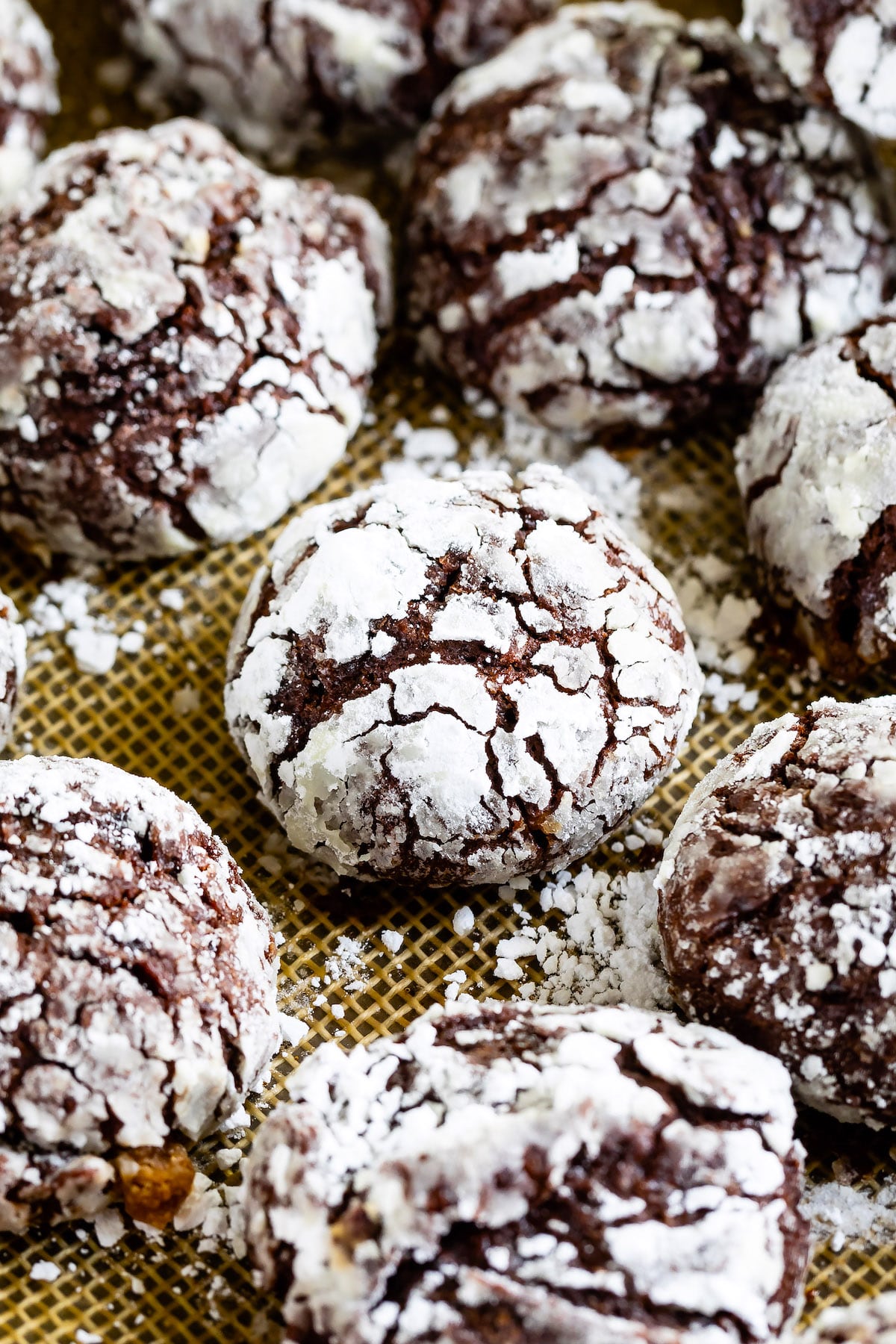 multiple crinkle cookies laid out with powdered sugar on top
