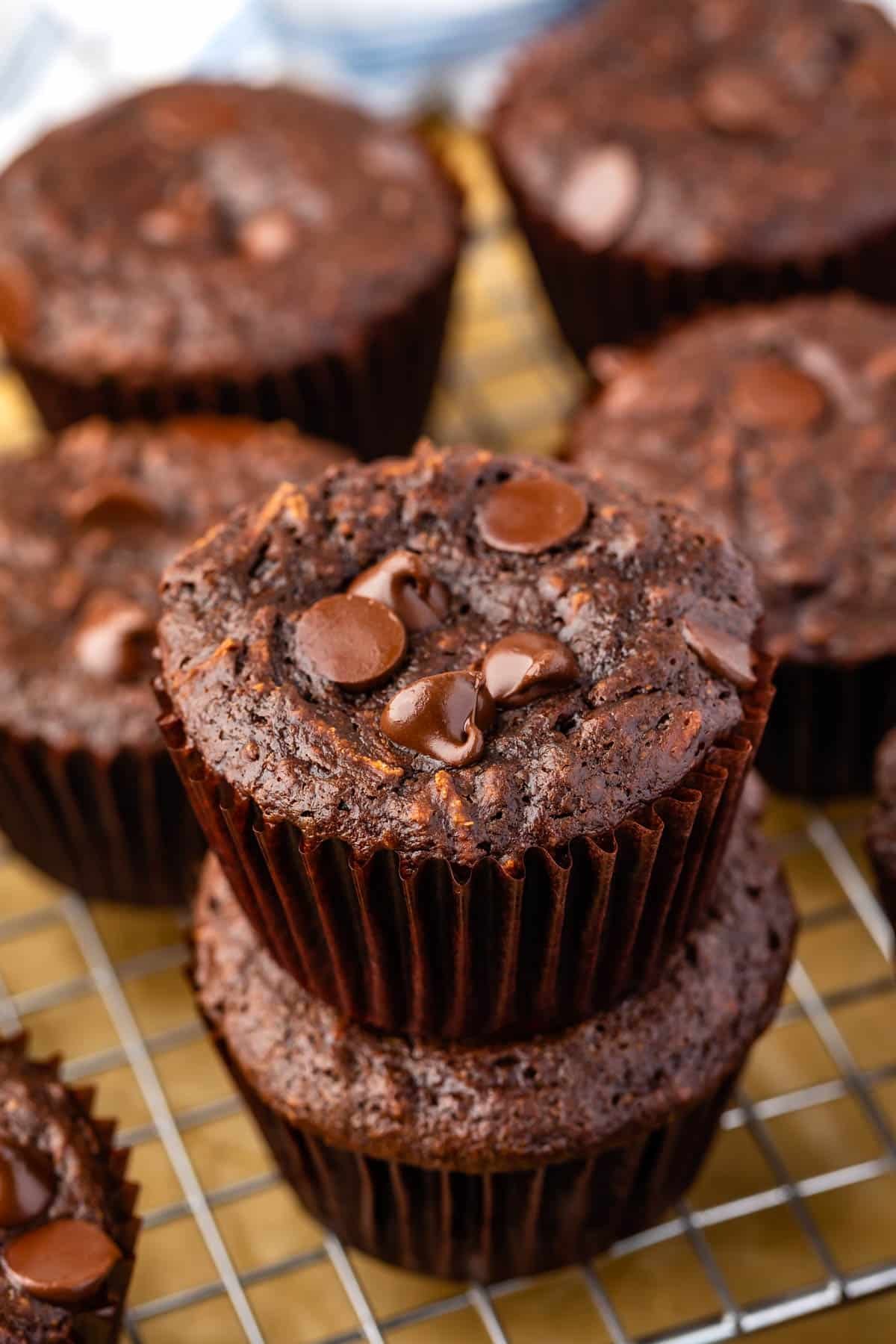 chocolate muffins with chocolate chips baked in