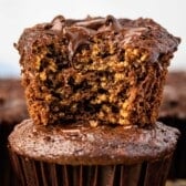 chocolate muffins with chocolate chips baked in