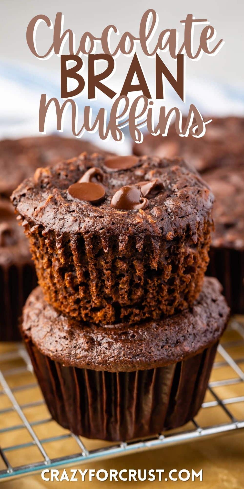 chocolate muffins with chocolate chips baked in with words on the photo