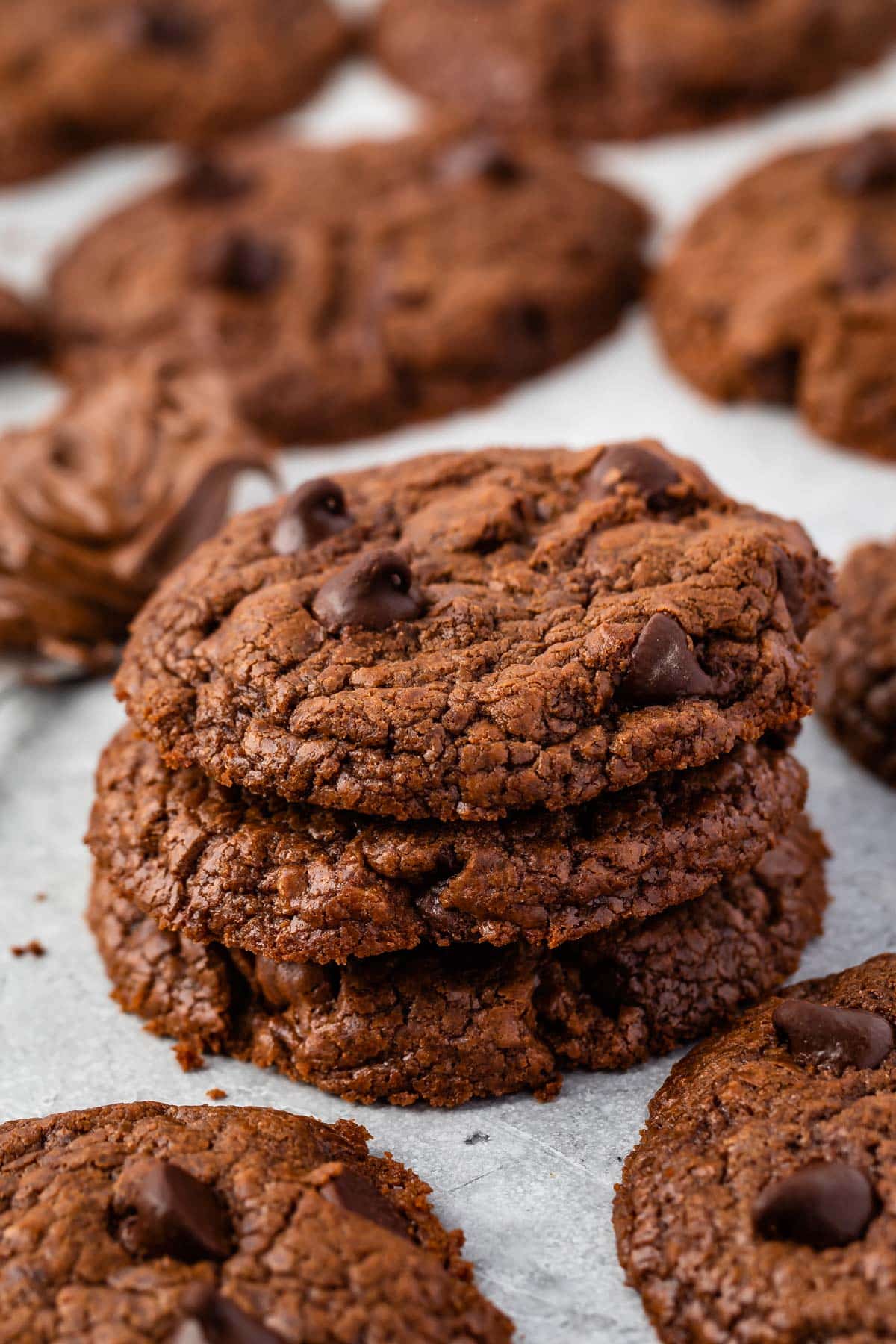 chocolate cookies with chocolate chips baked in