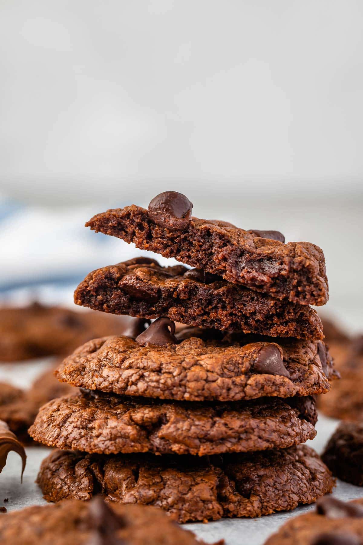 chocolate cookies with chocolate chips baked in