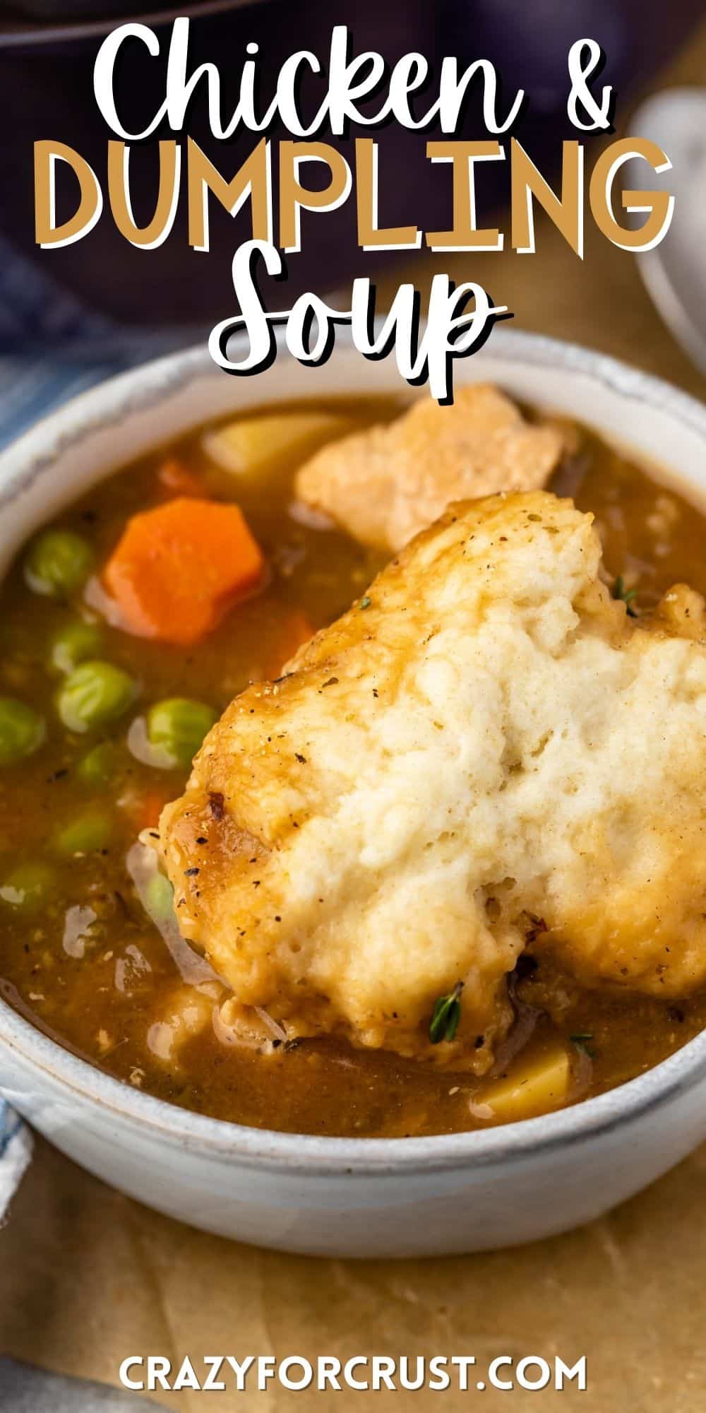 chicken and dumplings in brown soup in a white bowl with words on the image.
