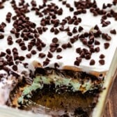 mint lush covered with whipped cream and chocolate chips.