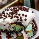 mint lush covered with whipped cream and chocolate chips.