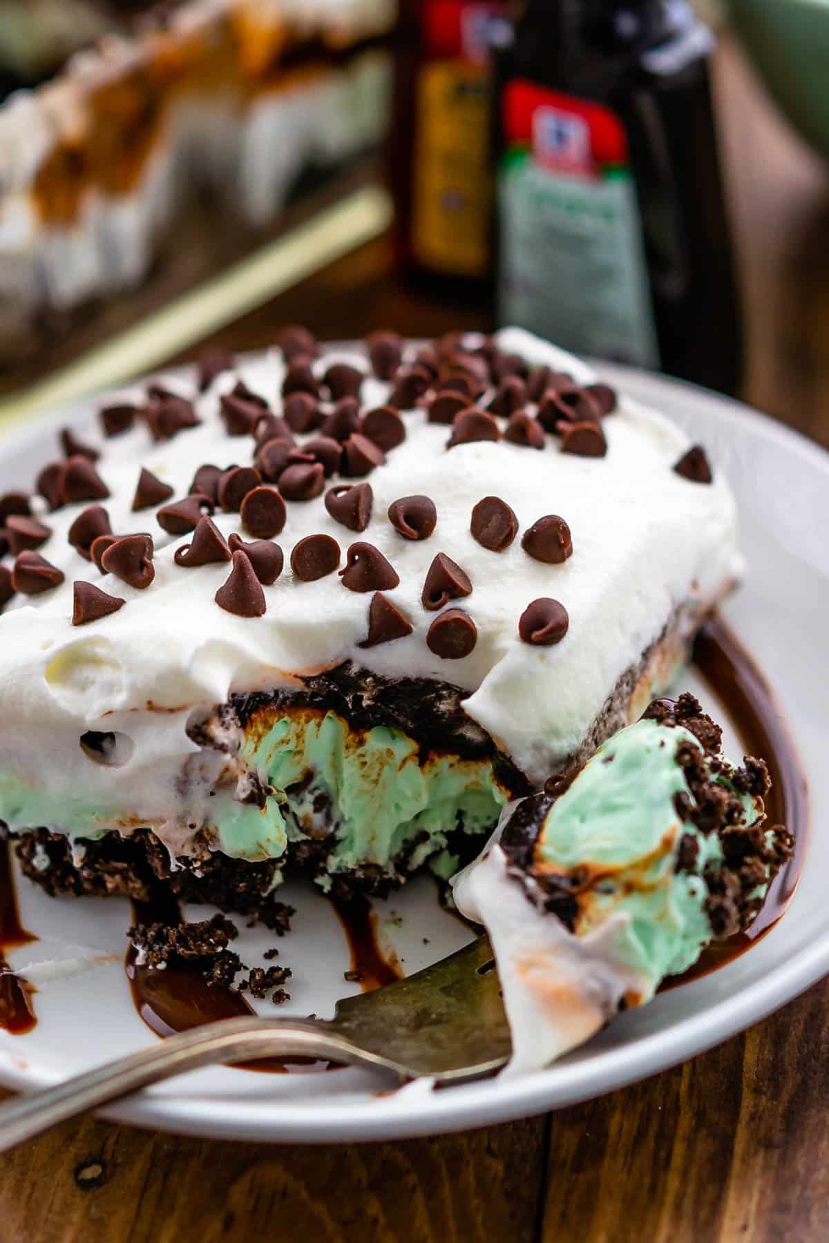 mint lush covered with whipped cream and chocolate chips.