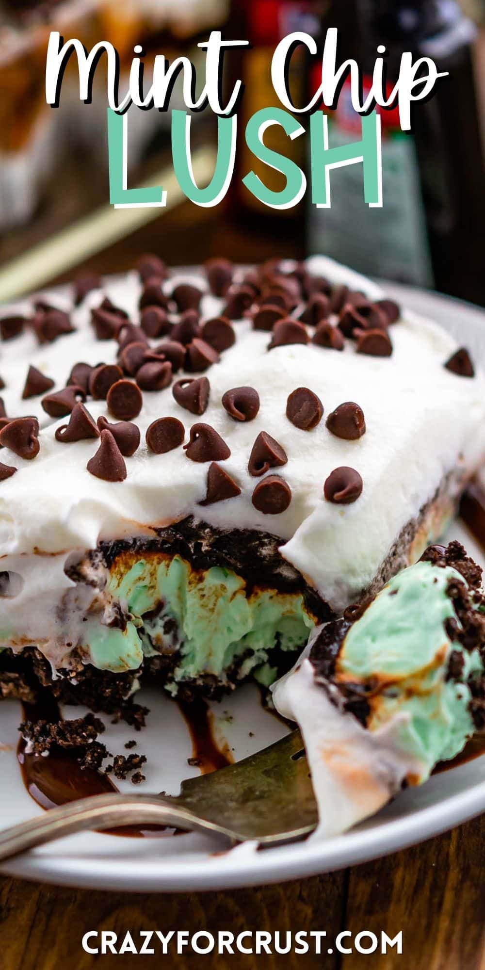 mint lush covered with whipped cream and chocolate chips with words on the image.