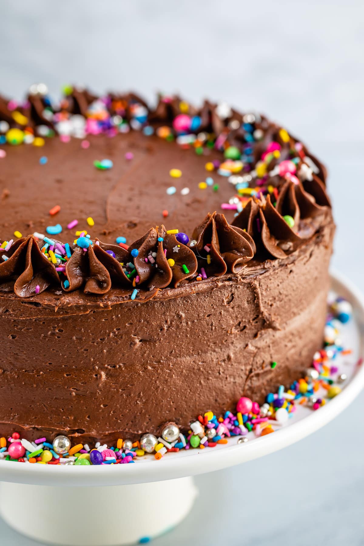 chocolate cake with chocolate frosting and covered in colorful sprinkles.