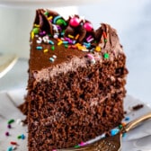 chocolate cake with chocolate frosting and covered in colorful sprinkles.