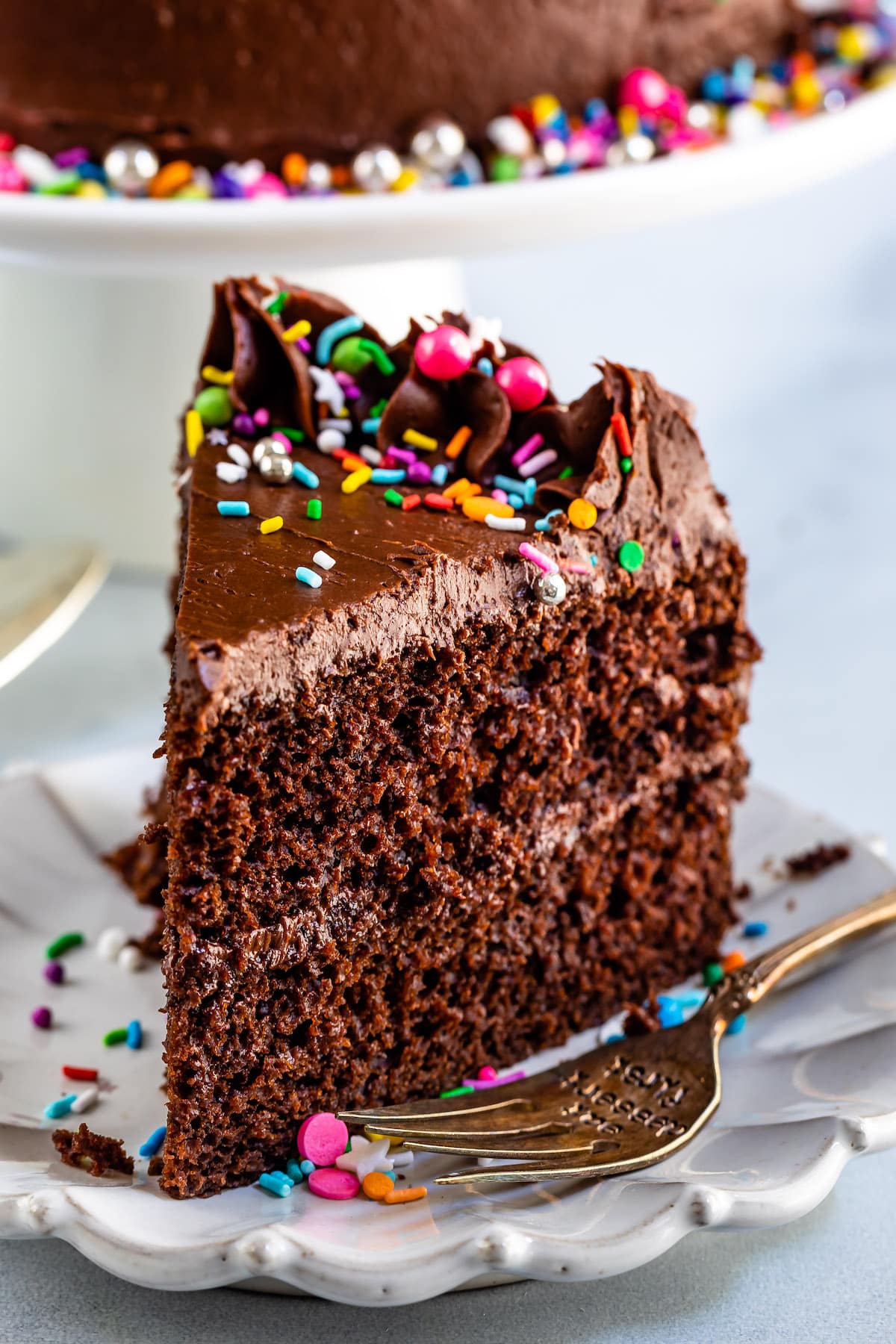 chocolate cake with chocolate frosting and covered in colorful sprinkles.