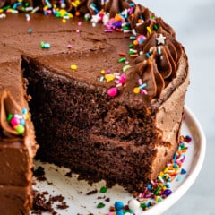 chocolate cake with chocolate frosting and covered in colorful sprinkles.
