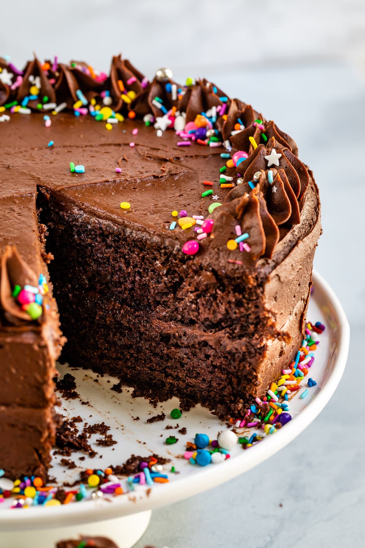 chocolate cake with chocolate frosting and covered in colorful sprinkles.