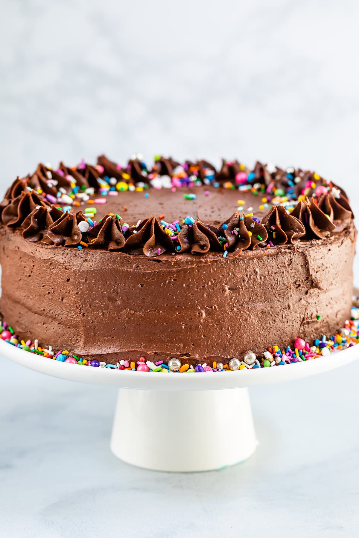 chocolate cake with chocolate frosting and covered in colorful sprinkles.