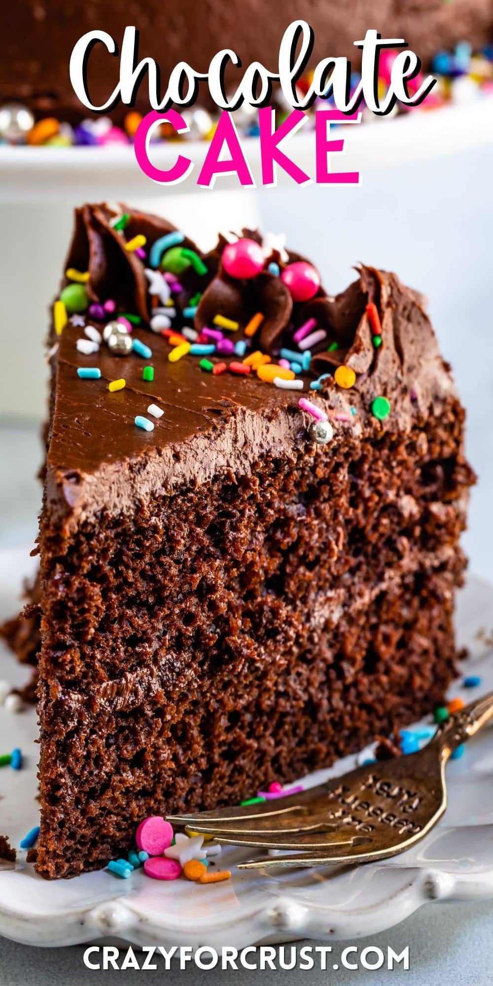 chocolate cake with chocolate frosting and covered in colorful sprinkles with words on the image.