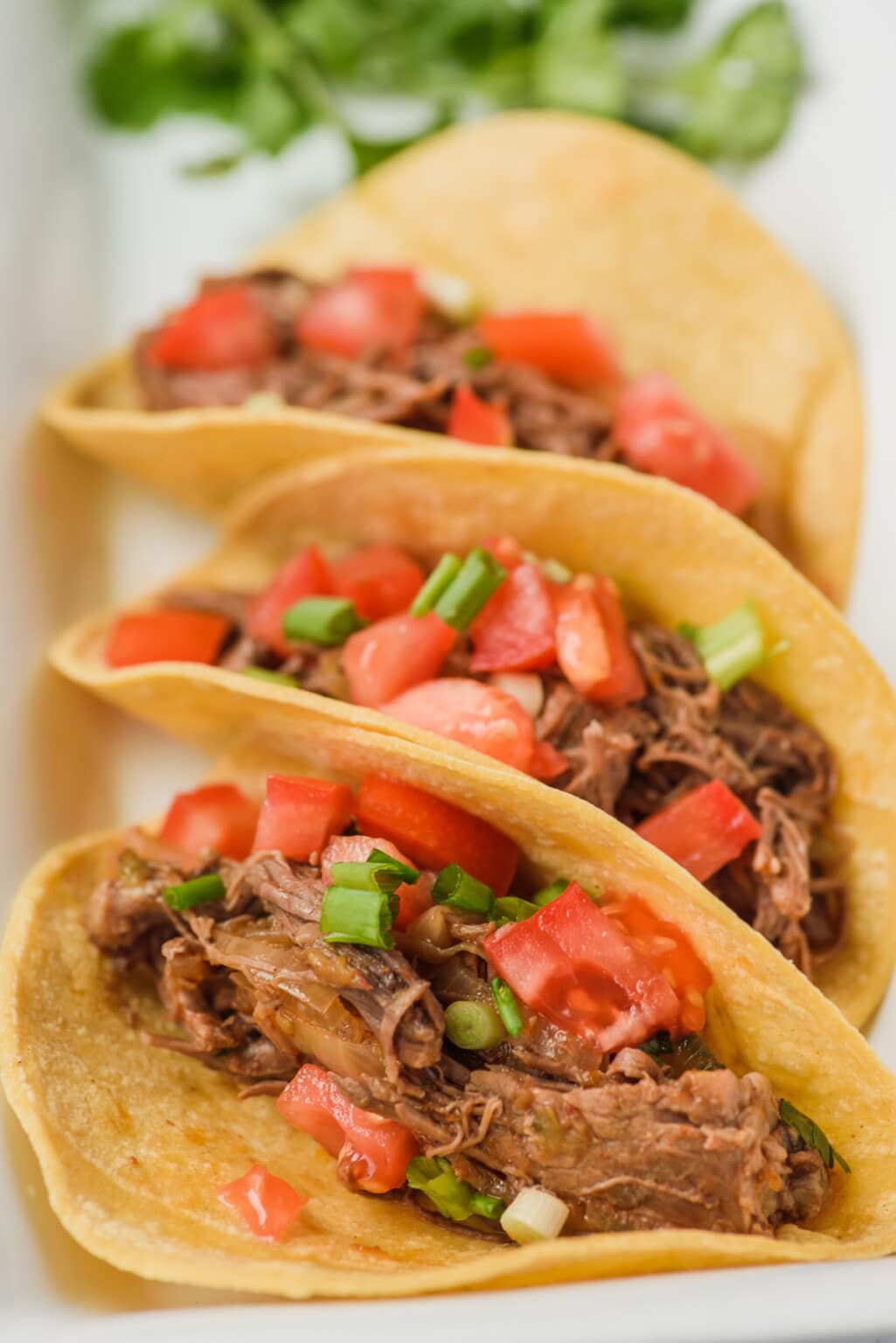 Slow Cooker Shredded Beef Tacos Crazy for Crust