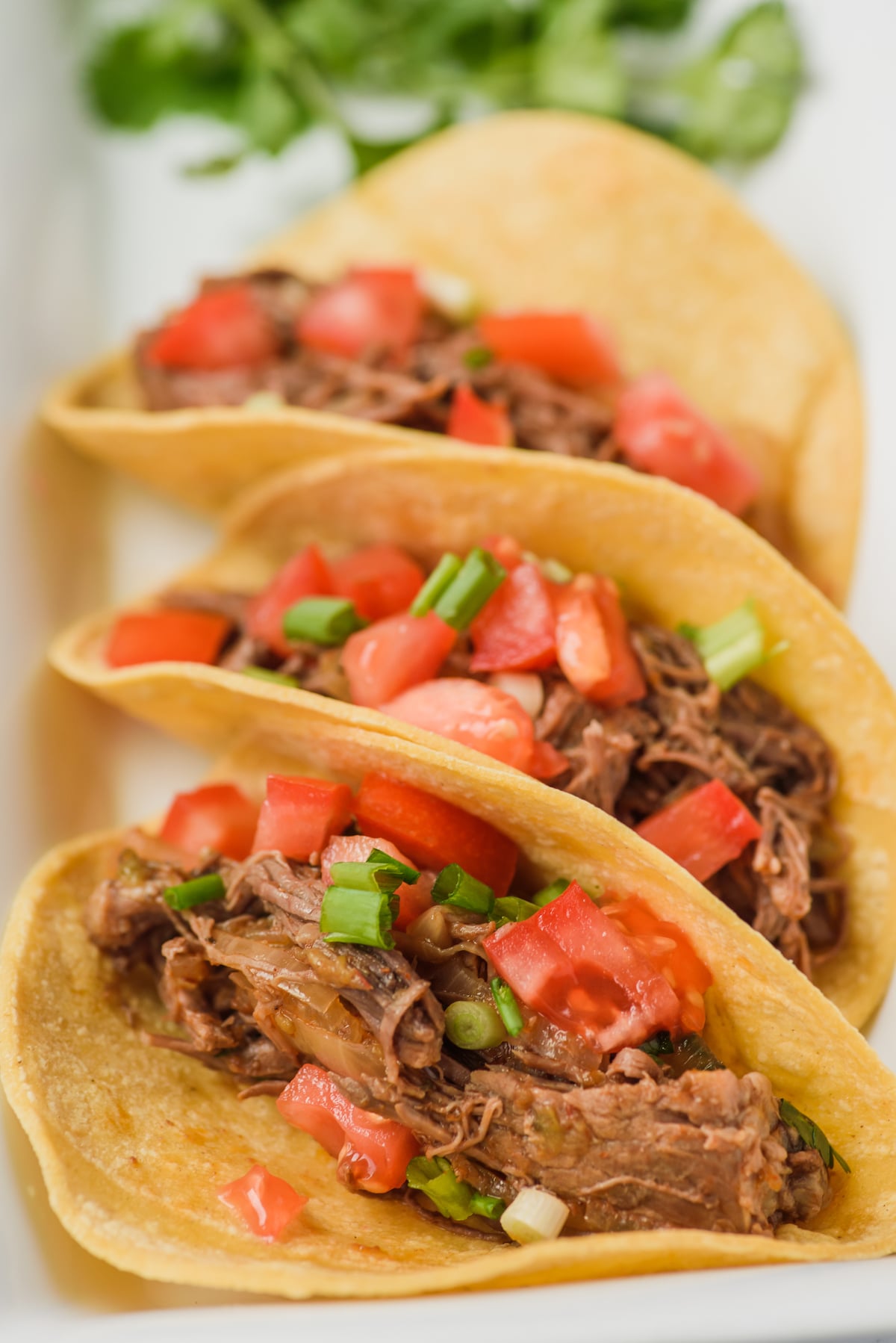 shredded beef in a tacos mixed with tomatoes.