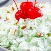 A bowl of green Watergate salad topped with three maraschino cherries and sprinkled with chopped nuts, served in a white dish.