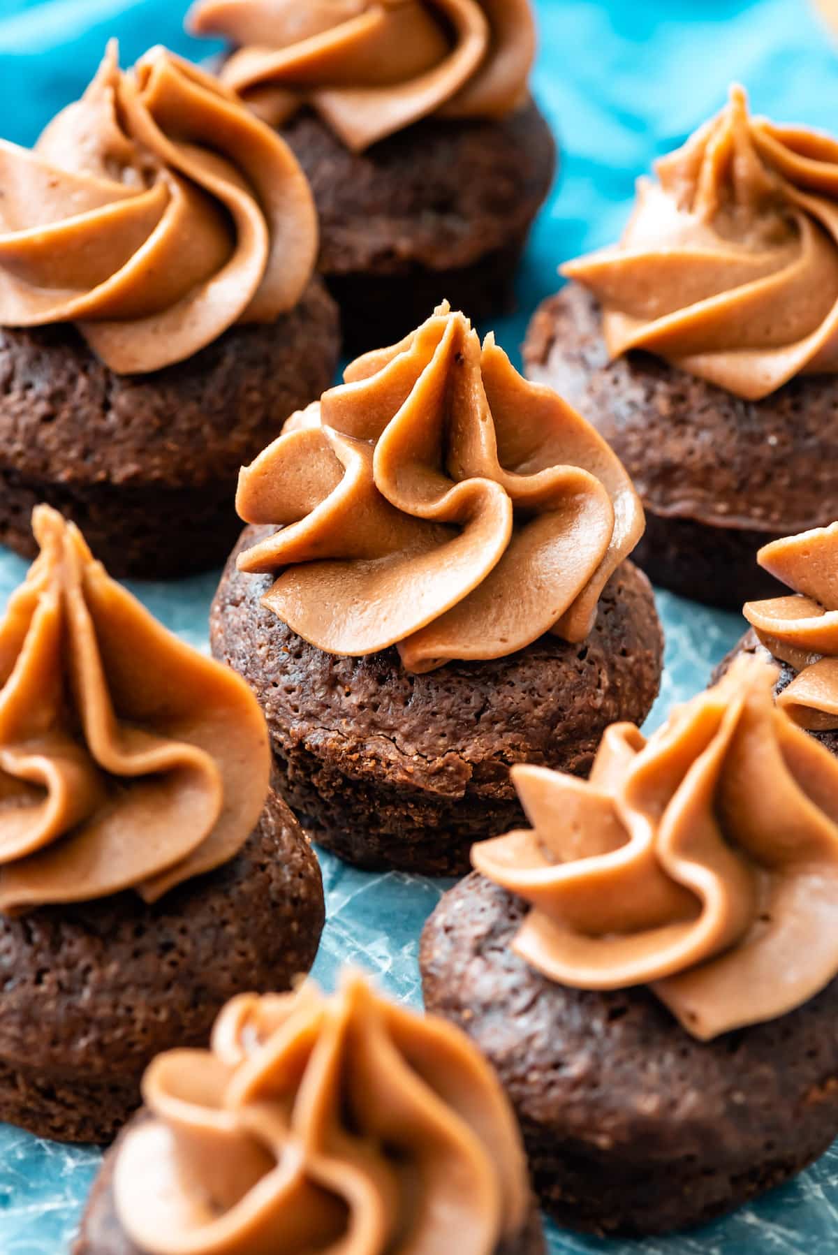 mini brownie bites with chocolate cream cheese frosting on top.