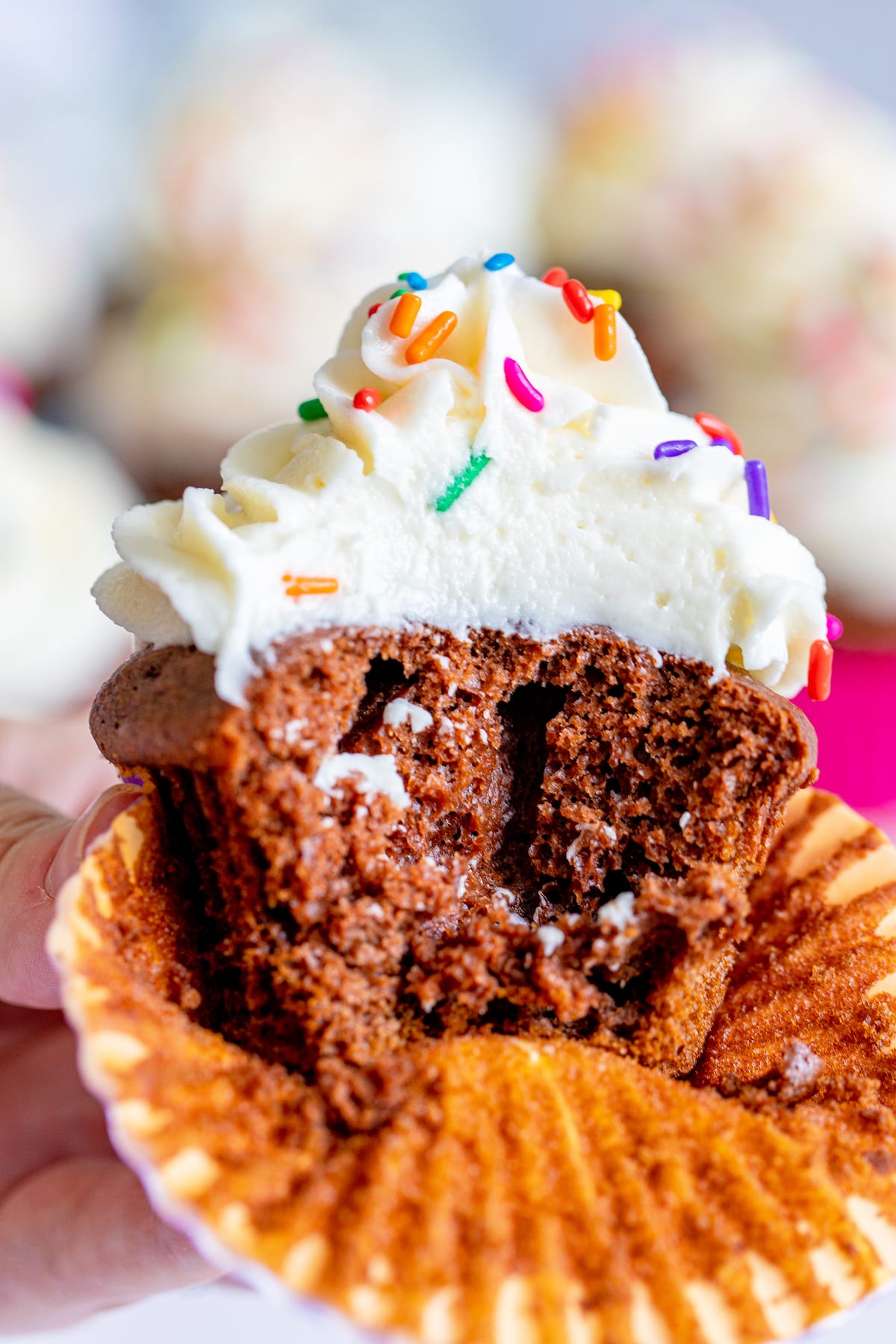 chocolate cupcake in purple wrapper with vanilla frosting and colorful sprinkles.