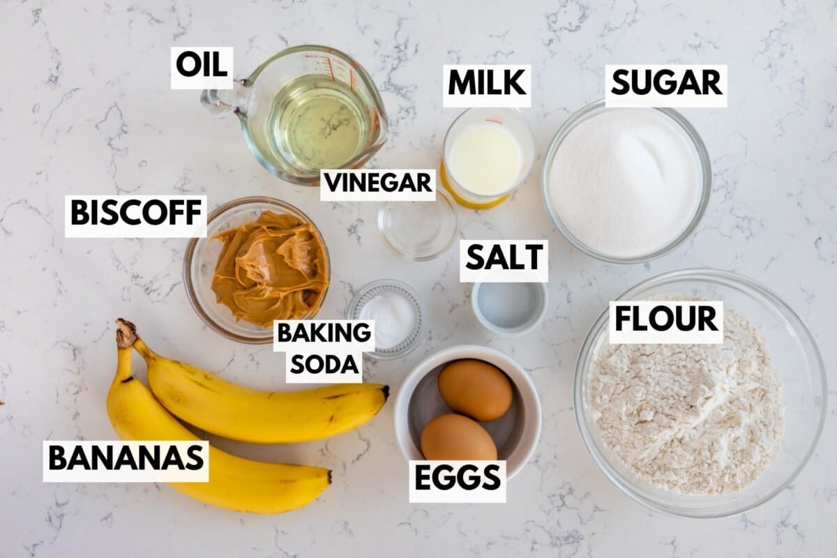 Ingredients for baking Biscoff Banana Bread are arranged on a countertop, each labeled: oil, milk, sugar, biscoff spread, vinegar, salt, flour, bananas, baking soda, and eggs.