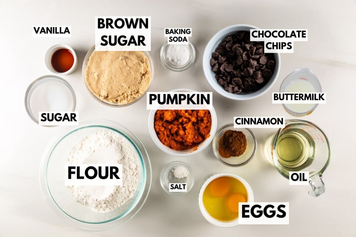 A top view of labeled baking ingredients for Pumpkin Chocolate Chip Bread in bowls and cups: flour, brown sugar, pumpkin puree, eggs, oil, buttermilk, chocolate chips, vanilla, sugar, cinnamon, baking soda, and salt on a white surface.