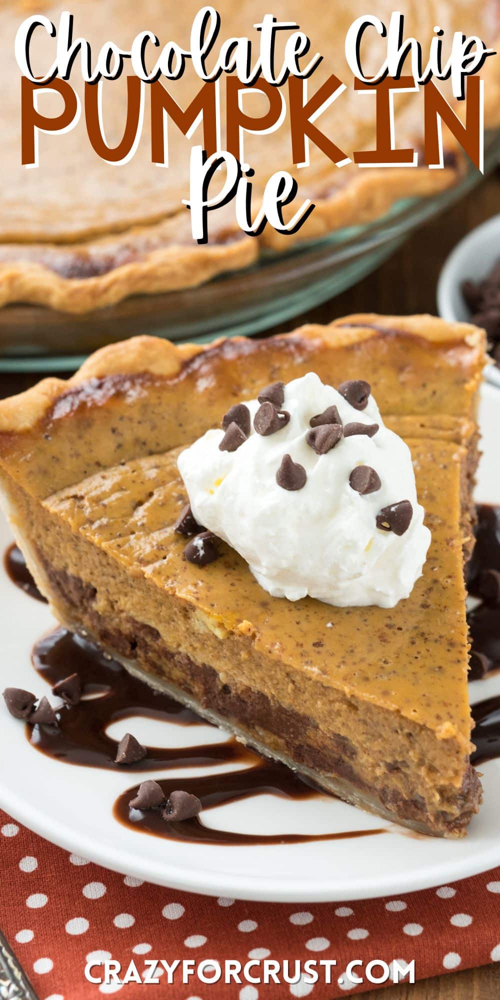 chocolate chip pie on a white plate with chocolate drizzled under with words on the image.