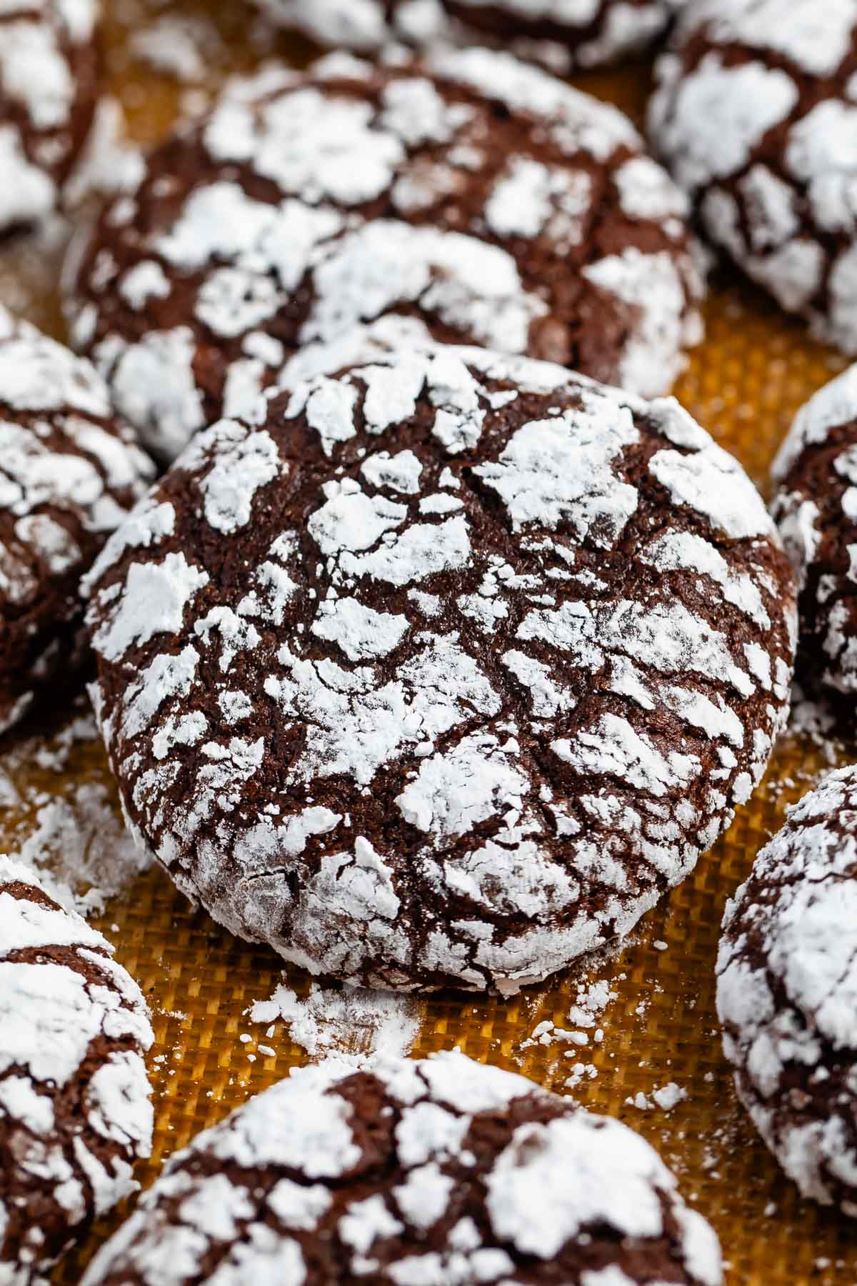 chocolate crinkle cookies covered in powdered sugar.